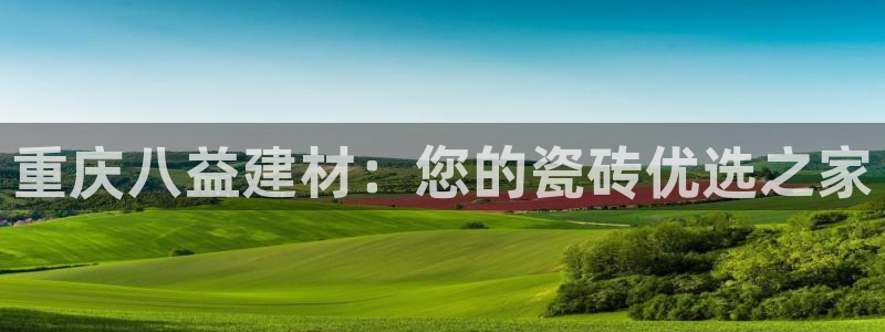 杏鑫官网注册账号是什么样的