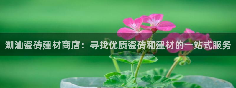 杏鑫平台招商怎么样