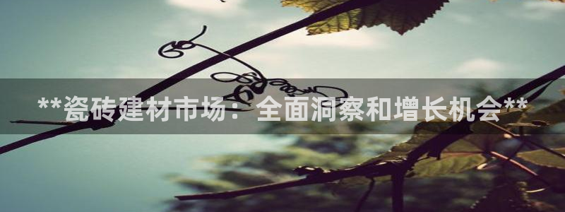 杏鑫平台代理注册流程