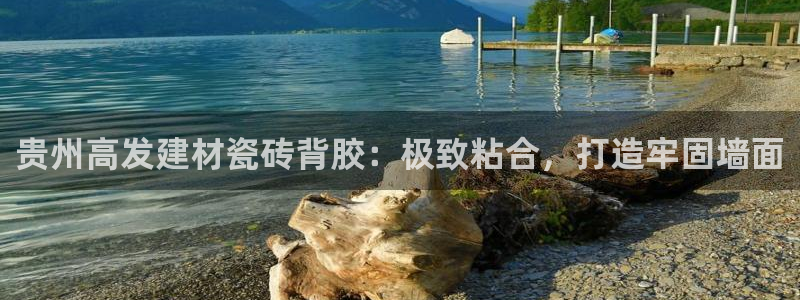 杏鑫注册登录网址是多少