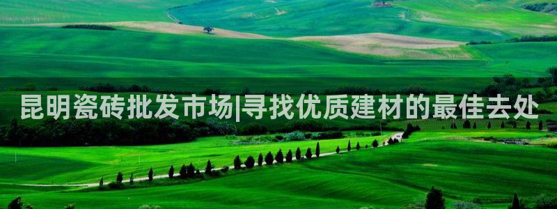 杏鑫平台登陆