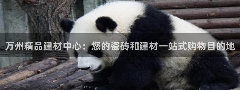 杏鑫平台是黑平台吗知乎