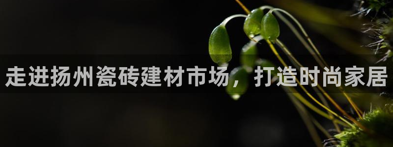 杏鑫注册平台官方网站下载