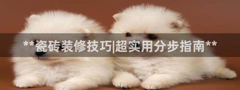 杏鑫平台代理怎么做的