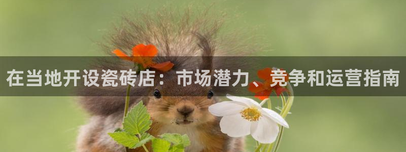 杏鑫官网注册账号怎么注册不了