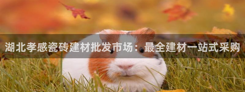 杏鑫官网注册账号怎么注册的