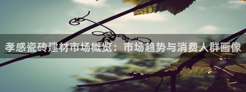 杏鑫平台怎么样黑钱吗知乎推荐