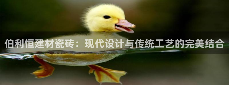 杏鑫平台待遇