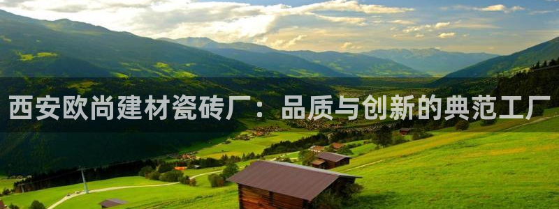 杏鑫平台代理注册流程及费用