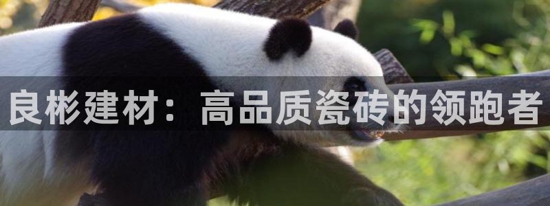 杏鑫平台登陆
