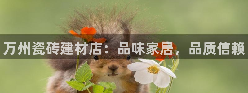 杏鑫娱乐多少年了