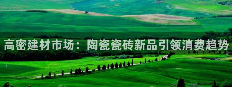 杏鑫平台正规吗