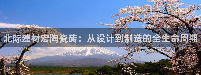 杏鑫3主管