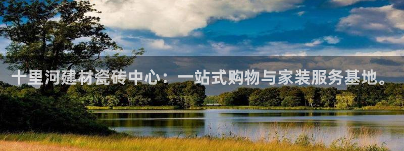杏鑫有亏损返点吗