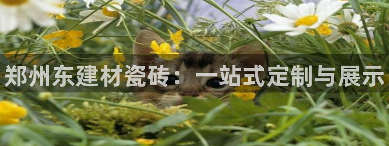 杏鑫注册平台官方网站入口