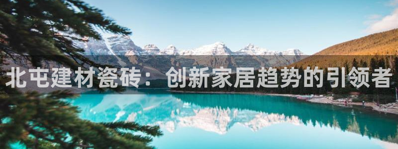 杏鑫平台招商电话号码是多少