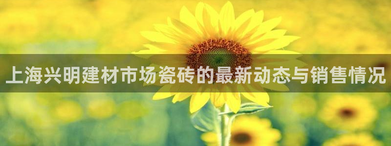 杏鑫平台代理怎么做