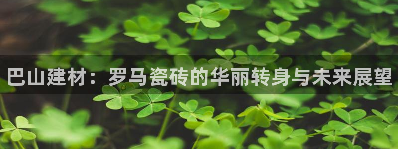 杏鑫平台代理怎么样啊