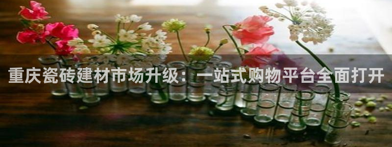 杏鑫平台代理注册多少钱一个