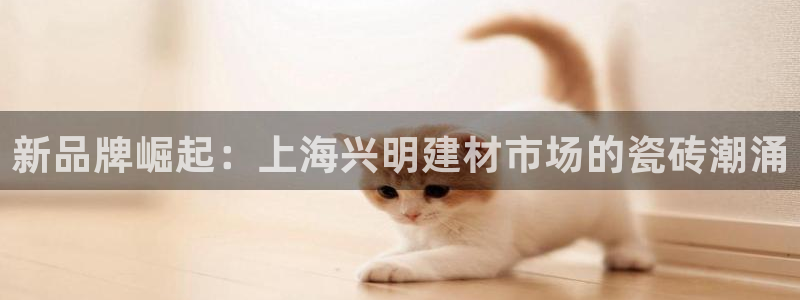 杏鑫官网注册账号密码