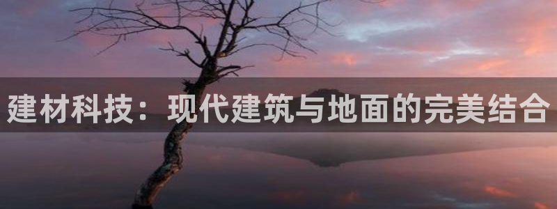 杏鑫平台代理注册