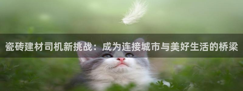 杏鑫官方app代理