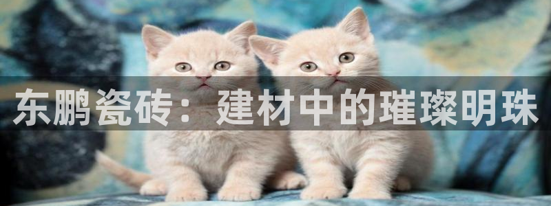 杏鑫平台招商电话
