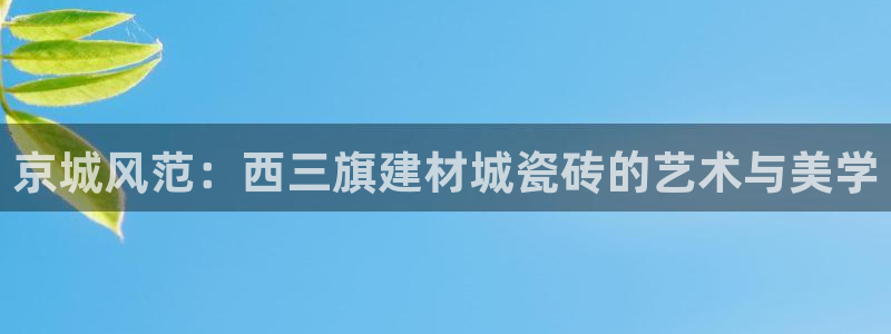杏鑫官网注册账号是什么样的