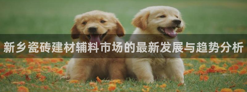 杏鑫平台怎么样黑钱吗知乎推荐