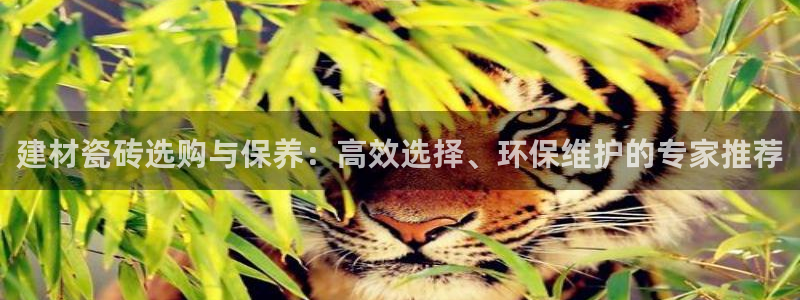 杏鑫平台直属哪个公司