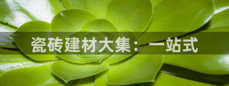 杏鑫官方平台怎么样啊安全吗
