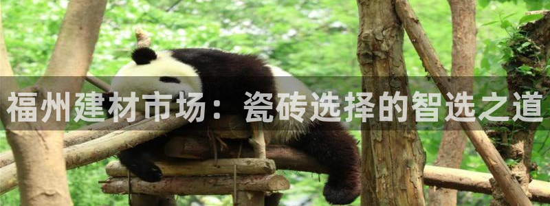 杏鑫平台代理