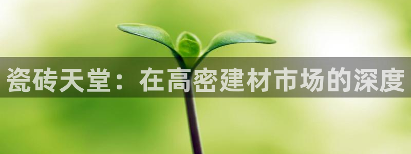 杏鑫注册登录代理公司