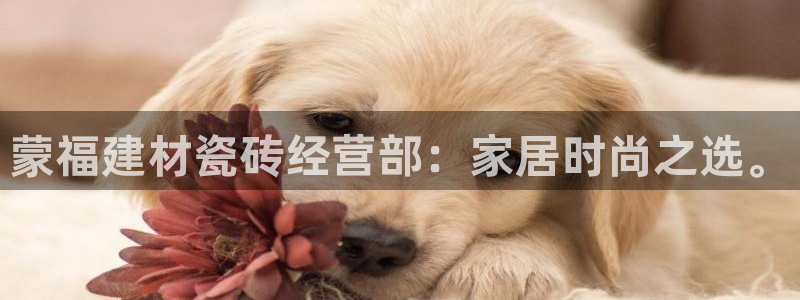 杏鑫娱乐是合法的吗是真的吗