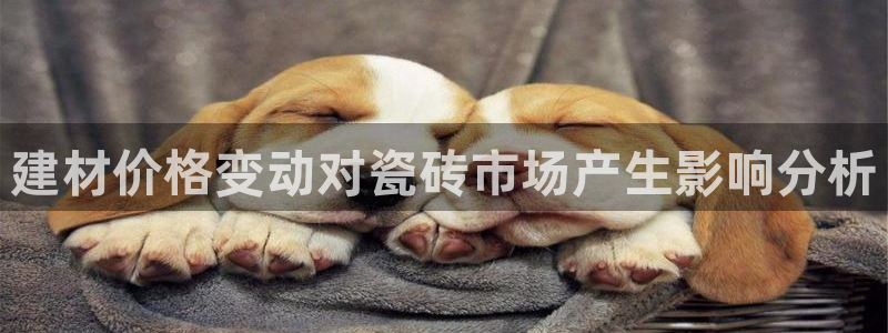 杏鑫平台测速