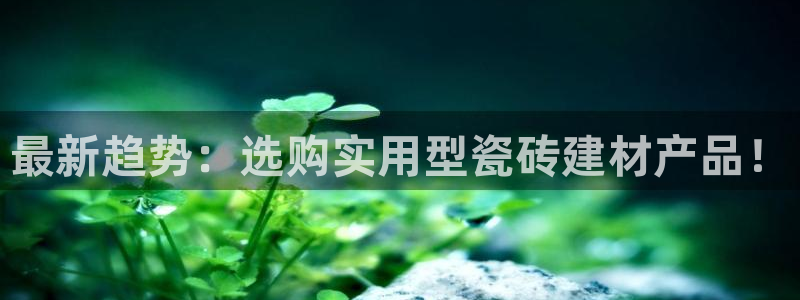 杏鑫平台代理注册多少钱一个