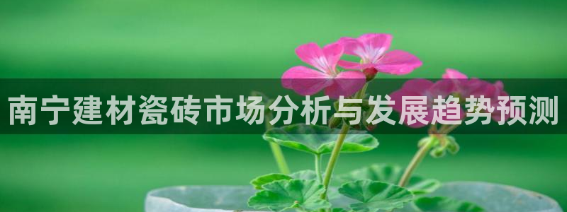 杏鑫平台直属哪个公司