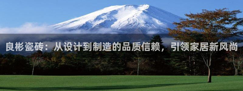 杏鑫3主管
