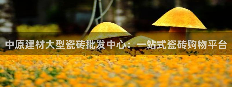 杏鑫平台代理怎么样可靠吗