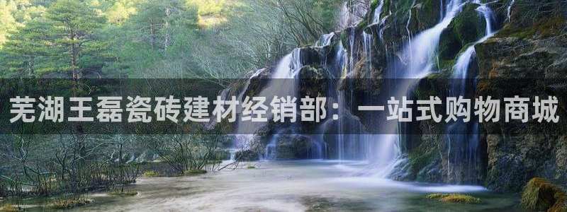 杏鑫平台注册地址在哪里