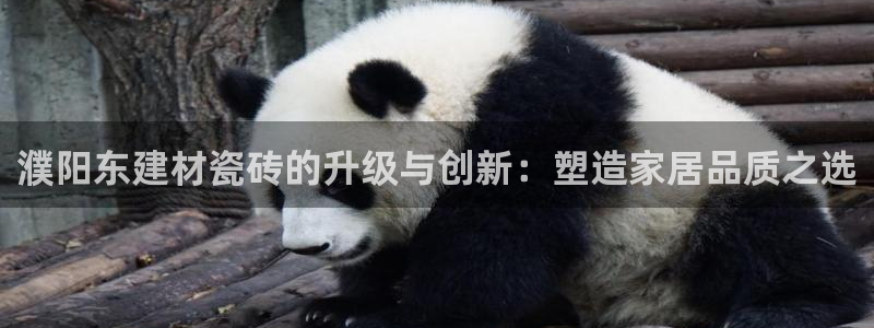 杏鑫娱乐官方网站客户端下载