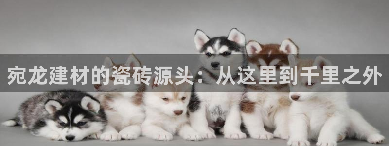 杏鑫官网注册账号密码是什么