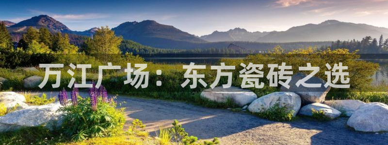 杏鑫官方平台怎么样啊知乎