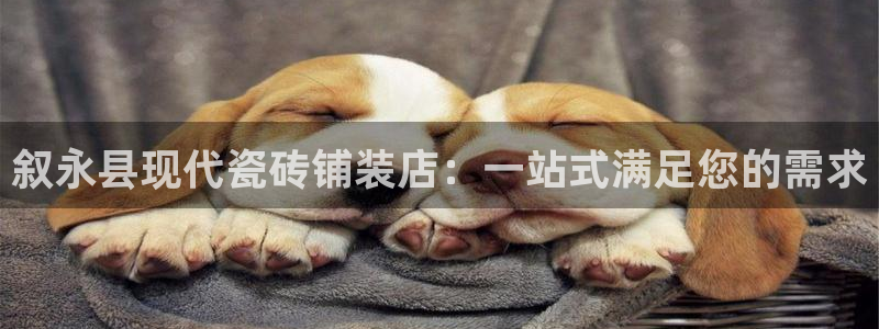 杏鑫娱乐开发团队