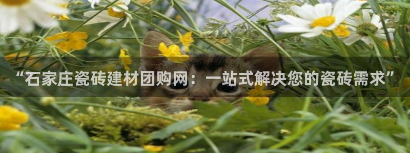 杏鑫官网最新信息