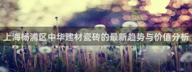 杏鑫平台招商怎么样