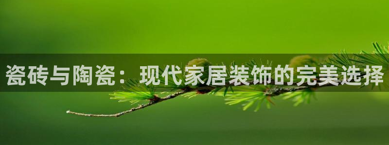 杏鑫注册登录代理公司