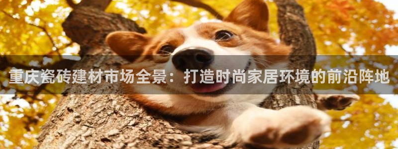 杏鑫平台招商
