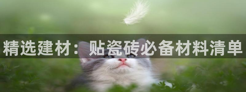 杏鑫平台代理怎么做的