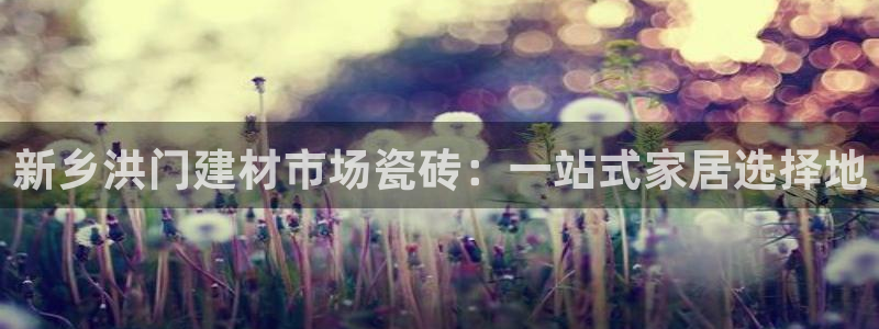 杏鑫代理注册平台